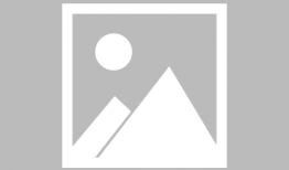 女主吃瓜爆料系统文推荐,女主吃瓜爆料，揭开娱乐圈惊天秘密